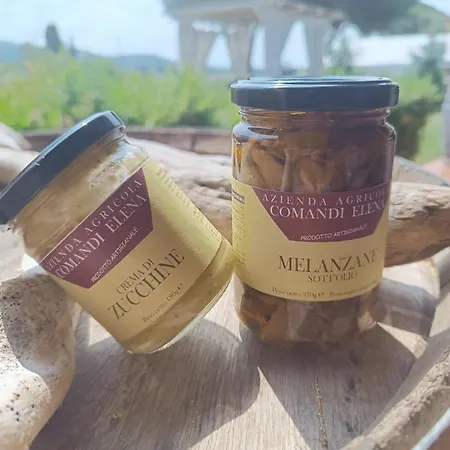 Alloggio per agriturismo Pian Di Rocca Country *